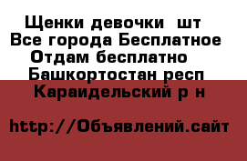 Щенки девочки 4шт - Все города Бесплатное » Отдам бесплатно   . Башкортостан респ.,Караидельский р-н